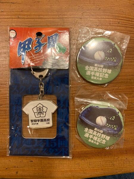 第90回 全国高校野球選手権記年 智辯学園