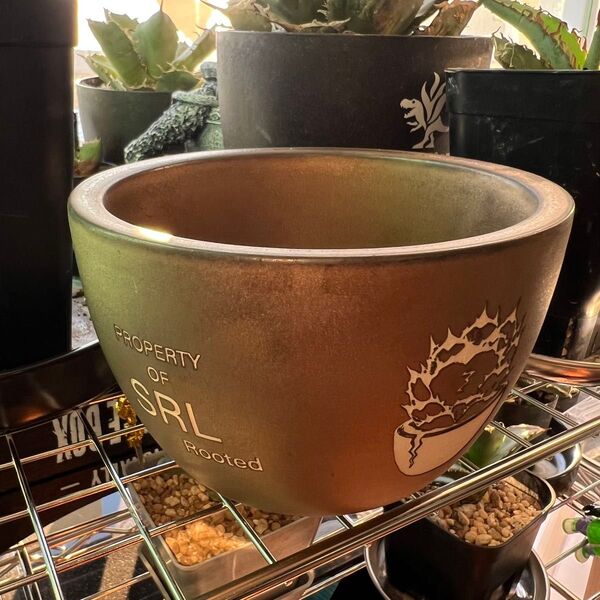 @ SRL 植木鉢 プランター 陶器 ハチ エスアールエル アガベ チタノタ