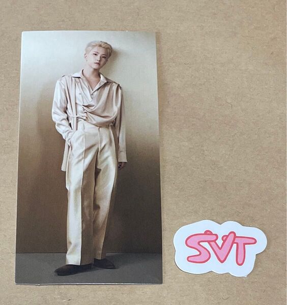 SEVENTEEN ホシ HOSHI RIGHT HERE ステッカー