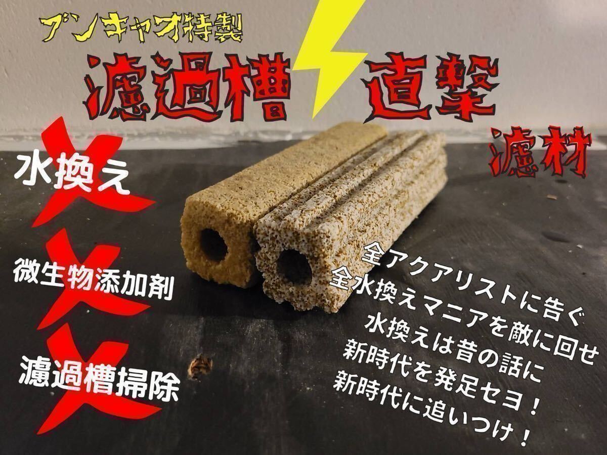 Yahoo!オークション -ろ材(魚、水草)の落札相場・落札価格(25 Yahoo!オークション -ろ材(魚、水草)の落札相場・落札価格(25