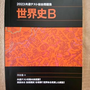 2023共通テスト総合問題集