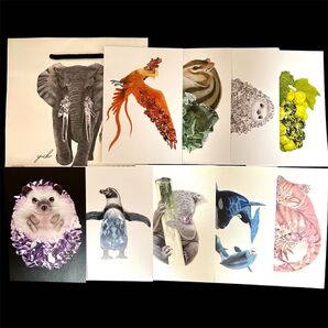 安部祐一朗 ポストカード9枚+コメ兵ショッパー1枚 生物×宝石 宝石展 名古屋市科学館 特別展 宝石