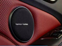 Harman/Kardon 2個 スピーカー エンブレム　ピンタイプ　ロゴ マーク アルミ製ポリッシュ仕上げ BMW ローバー ハーマン カードン benz audi_画像5