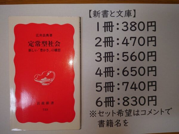 定常型社会 岩波新書