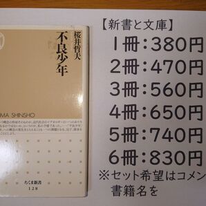 不良少年 ちくま新書