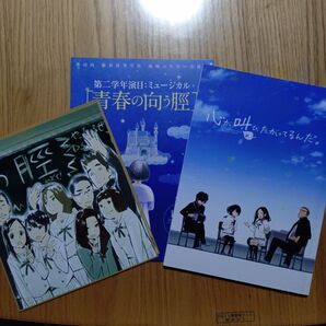 劇場アニメ 心が叫びたがってるんだ。 パンフレット 特典付き 岡田麿里 長井龍雪