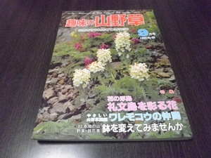 趣味の山野草　１９８３年９月　礼文島を彩る花　ワレモコウの仲間