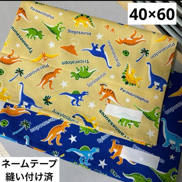 ランチョンマット 40×60 2枚組 恐竜