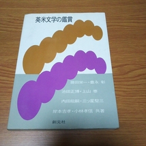 お宝【英米文学の鑑賞】藤田栄一 豊永彰 池田正博 上山泰 内田能嗣 三ツ星堅三 岸本吉孝 小林孝信 共著【昭和50年初版】_画像1