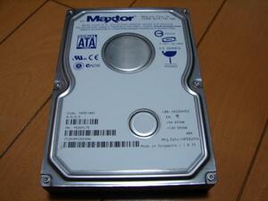 Maxtor 250GB 3.5inch SATA/150 MaXLine Plus II 7Y250M0 LTE