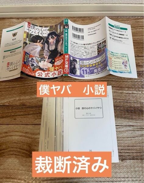 小説 僕の心のヤバイやつ 裁断済み