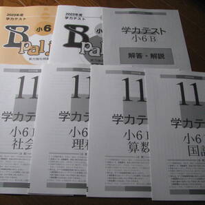 学力テスト小6B(中学受験版4科目) 2023年度11月号+実力強化問題集B pal jr.+解答用紙+解答解説 育伸社 未使用 送料無料!