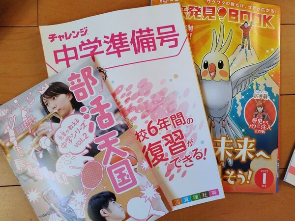 進研ゼミ 中学準備講座 6年生