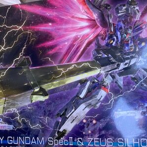 HG ディスティニーガンダム SPECⅡ ゼウスシルエット ガンプラ 機動戦士 ガンダム SEED FREEDOM
