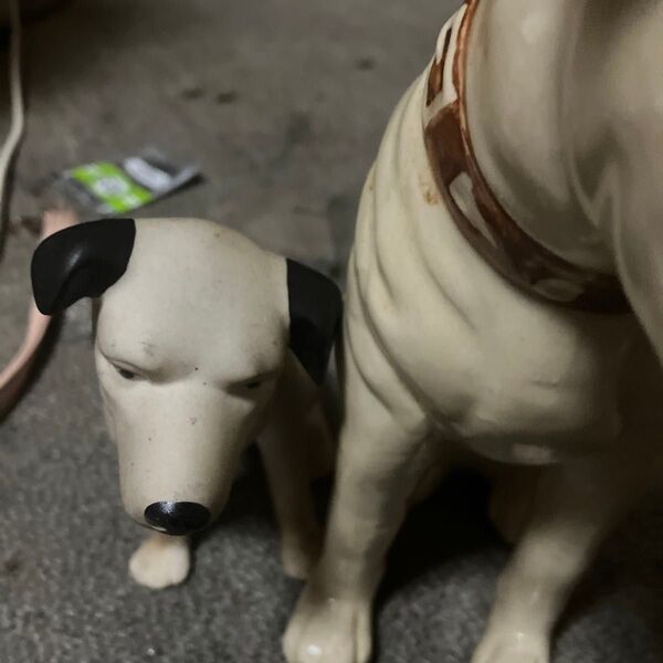 ニッパー君です。