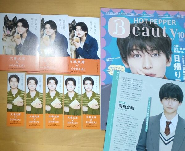 高橋文哉 文春文庫 チラシ しおり HOT PEPPER ホットペッパー BEAUTY TOHOシネマズマガジン チラシ