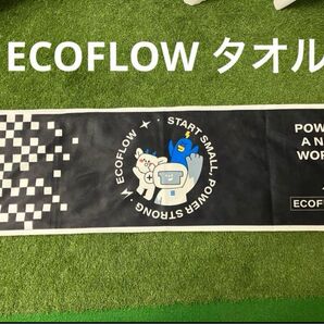 新品 未使用 ECO FLOW タオル マフラータオル