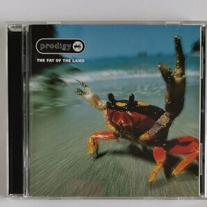plodigy『THE FAT OF THE LAND』