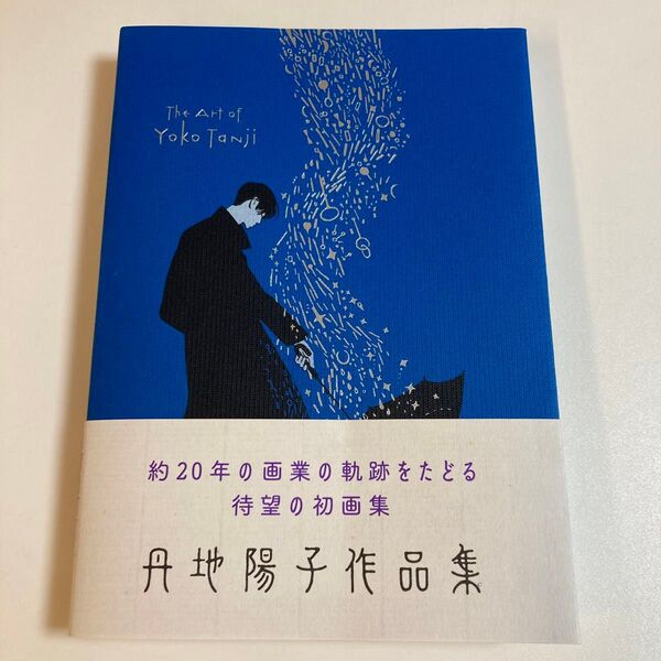 丹地陽子作品集 初版本 画集