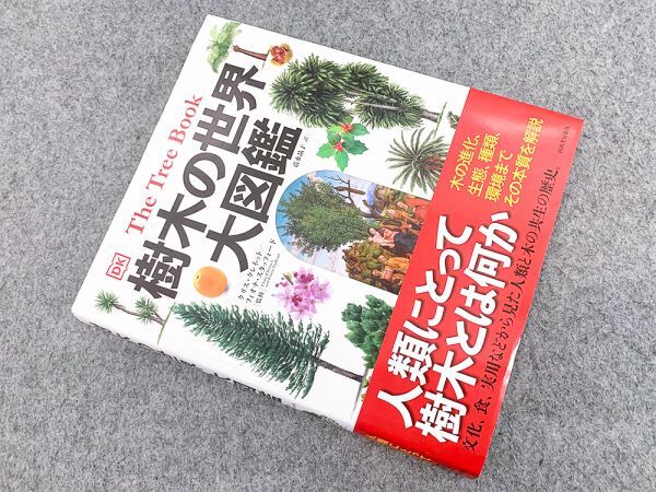 Yahoo!オークション -「樹木 図鑑」の落札相場・落札価格 Yahoo!オークション -「樹木 図鑑」の落札相場・落札価格