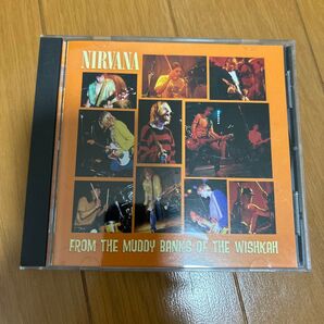 NIRVANA / FROM THE MUUDY BANKS