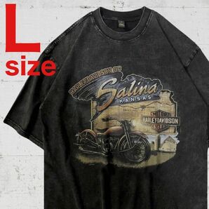 ハーレーダビッドソン HARLEY DAVIDSON RAP Tシャツ Lサイズ
