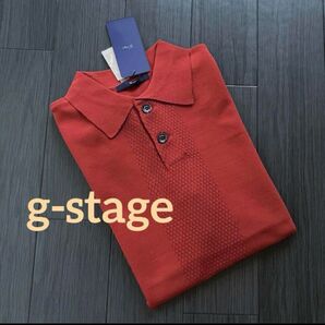 g-stage 天竺ニットボロシャツ 46(Mサイズ)
