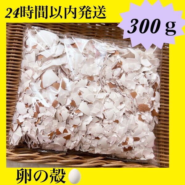 早い者勝ち☆翌日発送☆卵の殻☆エサ☆飼育