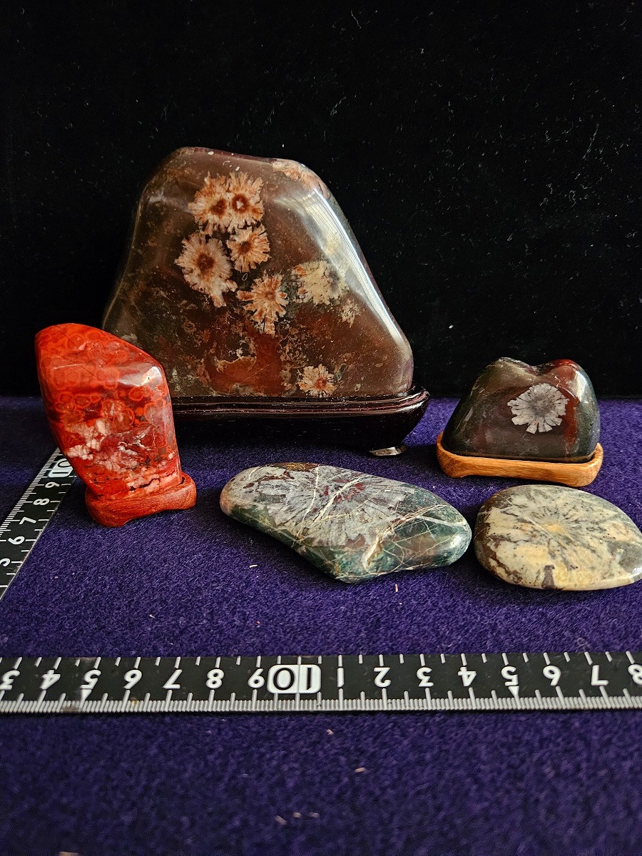theory xyz 菊花石 岐阜県根尾谷赤倉山産 純国産 : su050-ten3330 : theory xyz - 通販 -  Yahoo!ショッピング