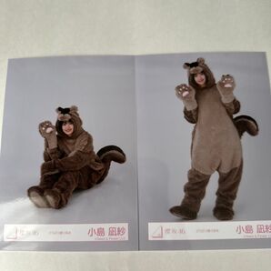 櫻坂46 生写真 どうぶつ着ぐるみ 小島凪沙