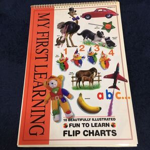 My First Learning Frip Charts