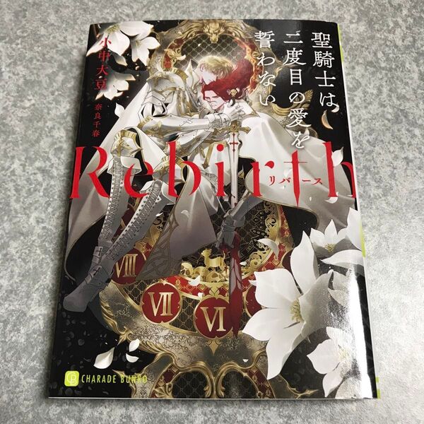 Rebirth~聖騎士は二度目の愛を誓わない~ 小中大豆