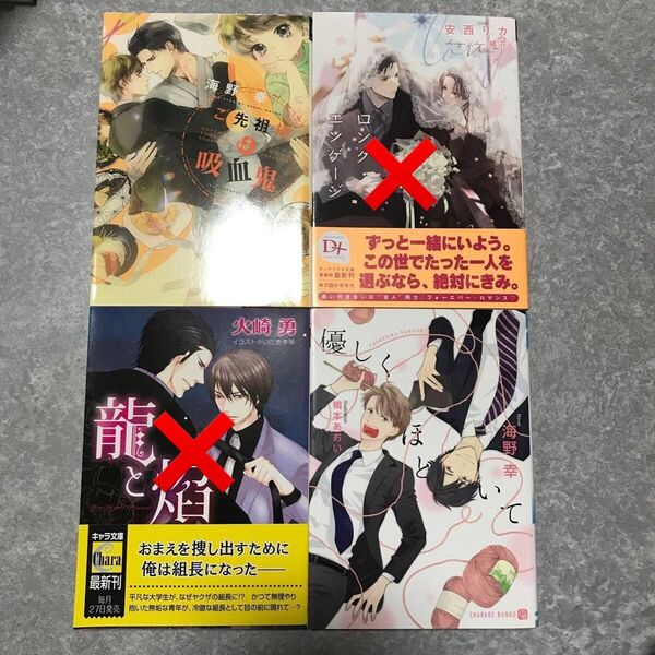 BL 小説 セット 2冊650円〜