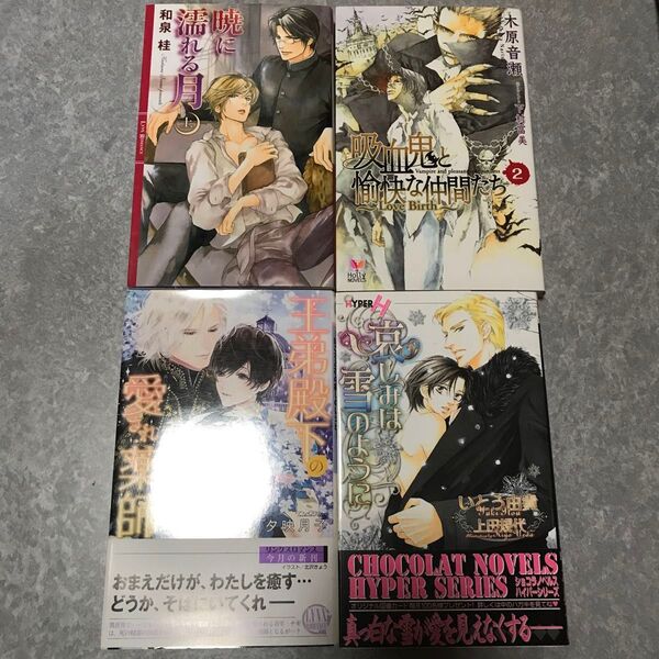 BL 小説 セット 2冊650円〜