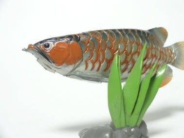 ユージン 原色図鑑シリーズ原色淡水魚図鑑Ⅰ アジアアロワナ(シークレット)