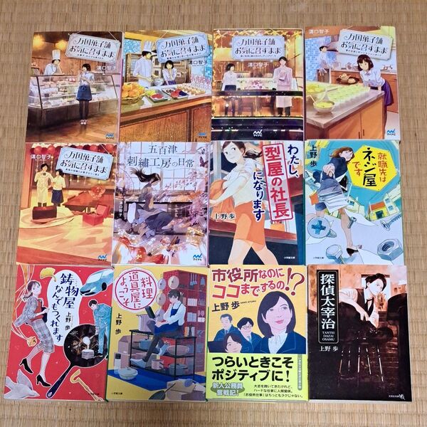 溝口智子 上野歩 1冊500円2冊900円3冊1300円4冊1700円