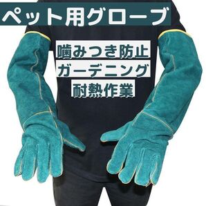 ペットグローブ 噛みつき防止 牛革 革手 保護手袋