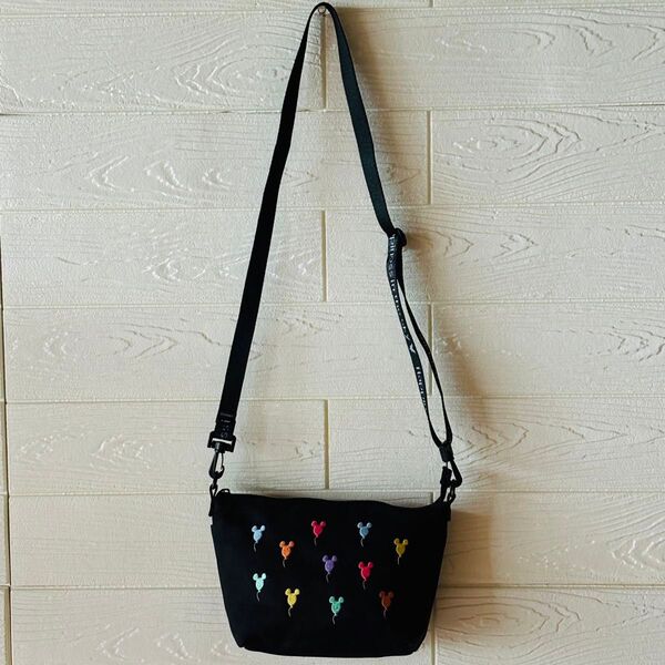 ディズニーリゾート バルーン刺繍 ショルダーバック 斜め掛けショルダー