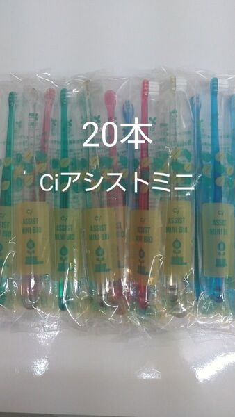 歯科医院専用20本 Ciアシストミニ歯ブラシ