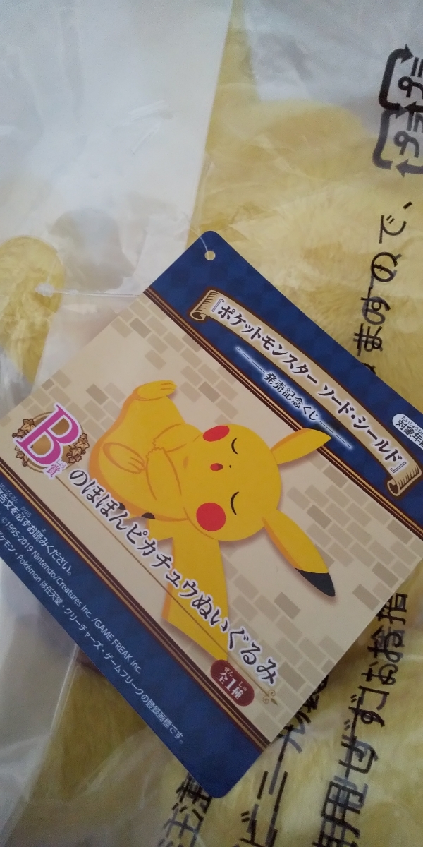 ポケットモンスター 一番くじ B賞ぬいぐるみ 新品未開封