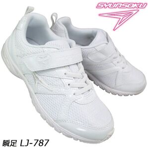 新品!未使用!瞬足内バキズック 24.5