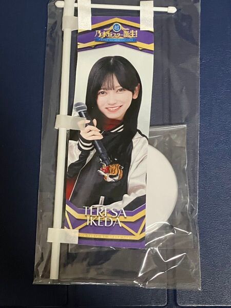 乃木坂46池田瑛紗 ミニのぼり スター誕生