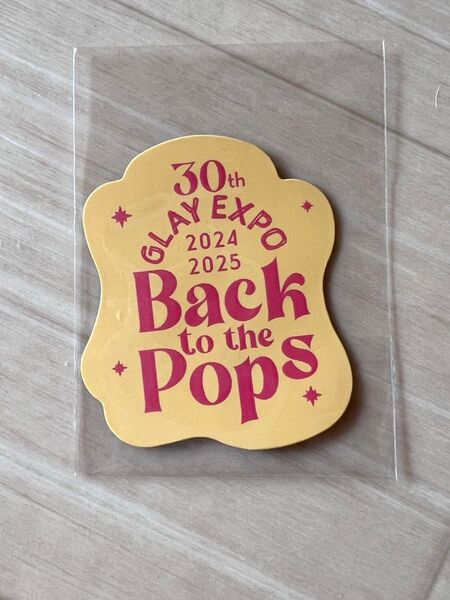 GLAY 2024ライブ ランダムグッズ マグネット 未使用