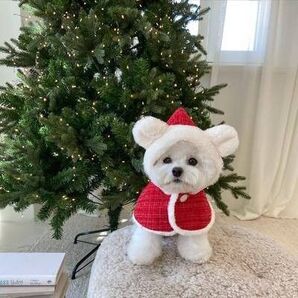 ペット服 ケープ クリスマス 犬猫 ワンちゃん ペット 耳付き ポンチョ 可愛い 犬 ぬいぐるみ