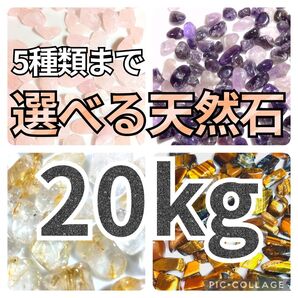 5種類まで選べる 天然石 さざれ 合計20kgセット 天然石 水晶 さざれ石 細石 チップ まとめ売り 大量