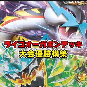 タケルライコex 構築済みデッキ
