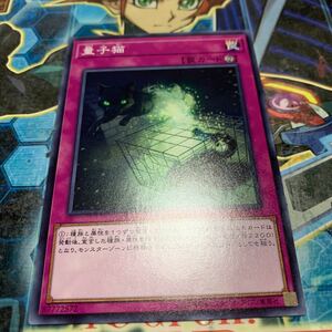 遊戯王 量子猫 19TP ノーマル 数量3