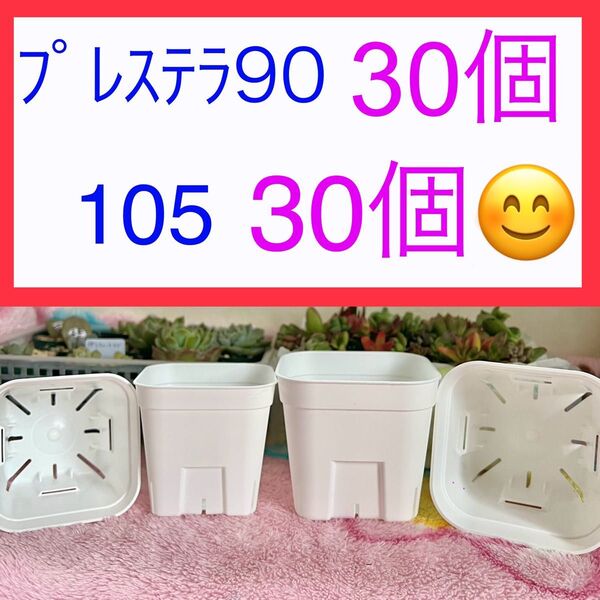 E⑤ プレステラお得セット★ 【90サイズ2.5号・30個】【105サイズ3号・30個】