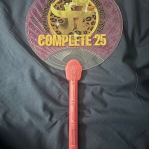 ayumi hamasaki COMPLETE 25周年 カウントダウンライブ ピンクに光るうちわ