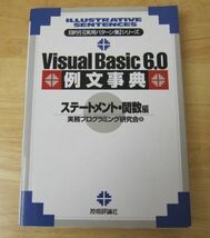 Visual Basic　6.0　例文事典　ステートメント・関数編_画像1